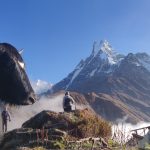 מסע לגוקיו רי האוורסט