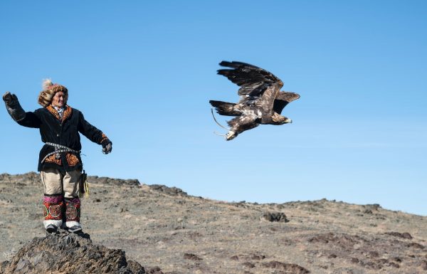 מונגוליה מידע כללי