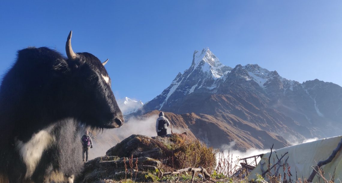 מסע לגוקיו רי האוורסט